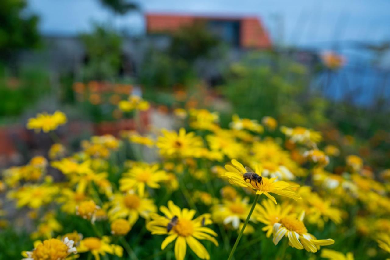 Casas Da Vereda Estreito Da Calheta Zimmer foto